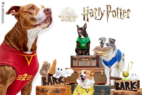 Barkbox harry potter. Things To Know About Barkbox harry potter. 